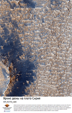 Яркие дюны на плато Сирия