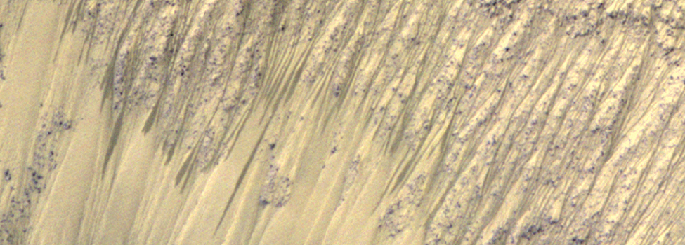 Recurring Slope Lineae in Equatorial Regions of Mars