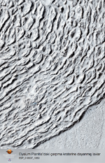 Elysium Planitia’daki çarpma kraterine dayanmış lavlar